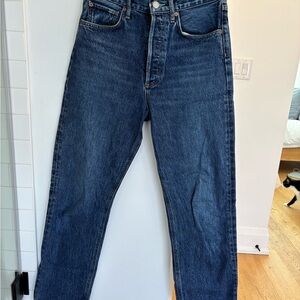 Agolde 90s Pinch Waist Jeans